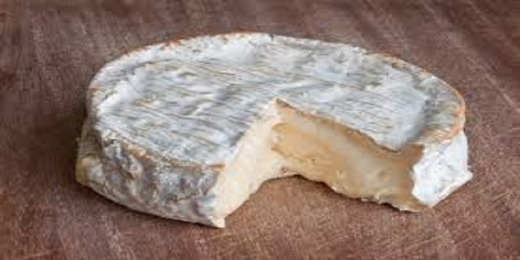 cheese powder market