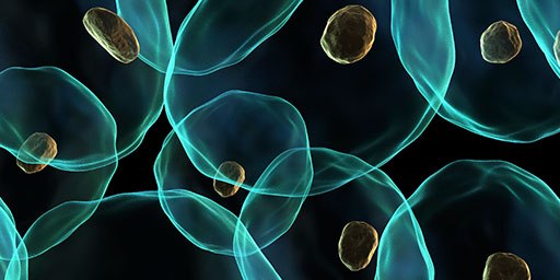 Apoptosis Assays Market
