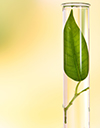 Injectable Nanomedicines Market