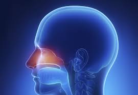 Nasal Drug Delivery Technology Market