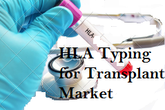 HLA Typing for Transplant Market