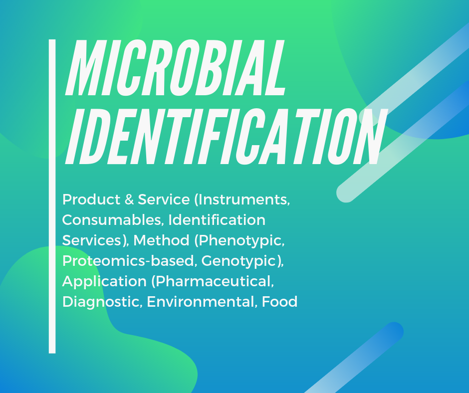 Microbial Identification Market