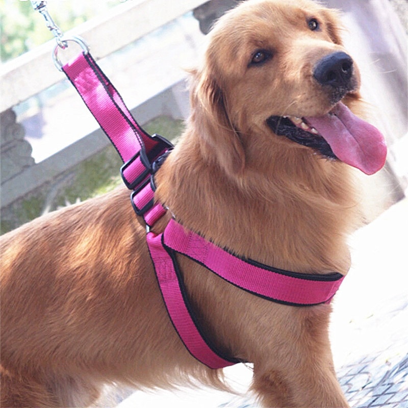 dog collar and harness set