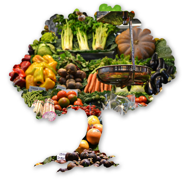 food preservation consultant