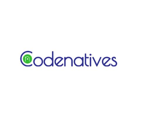 Robotic Process Automation | Codenatives
