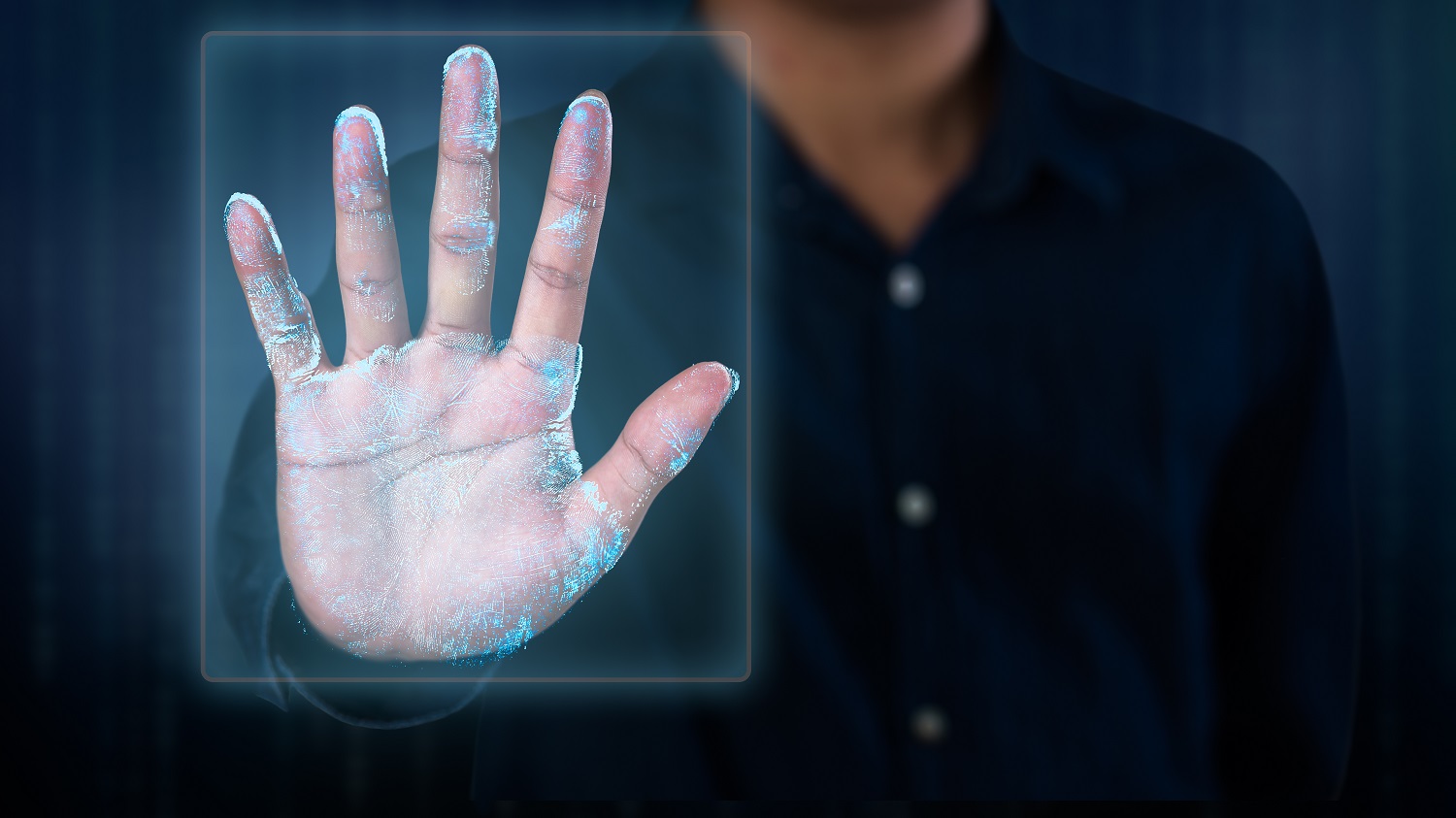 Vein Recognition Biometrics