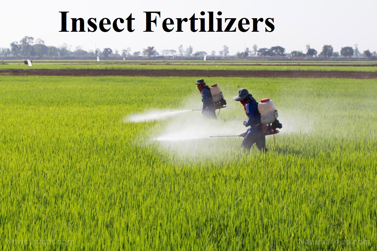 Insect Fertilizers Market