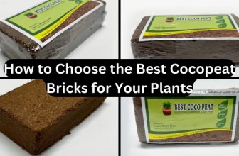 Best Cocopeat