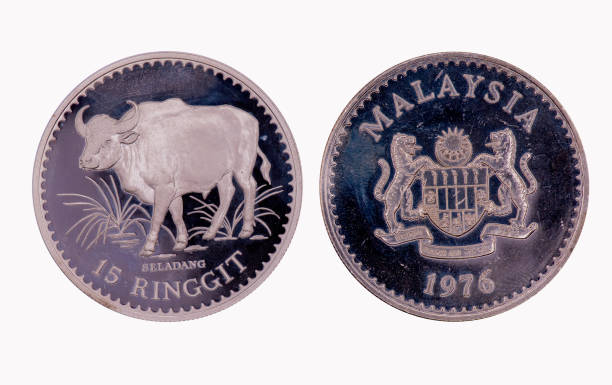 rare silver rounds