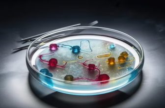 Protein A Magnetic Bead