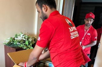 movers in Germany