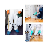 The Ultimate Guide to Professional Bed Bug Removal in Springfield, MO: What Homeowners Need to Know