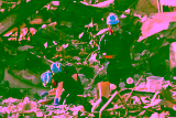 The Role of General Contractors in Post-Wildfire Rebuilding in Los Angeles