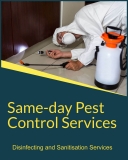 Excel Pest Control Offers the Best Range of Services
