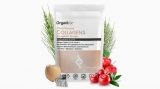 Best collagen powders – An In Depth Analysis on What Works and What Doesn’t