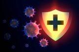 Best immune system enhancers- Have You Gone Through Vital Details?