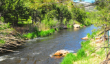 Looking for the Perfect Stay? Your Ultimate Guide to Estes Park Hotels Colorado