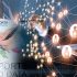 Bioreactors and Fermenters Market Global Opportunity Analysis and Industry Forecast, 2020–2027