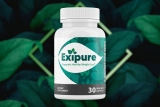 Highly Informative Details Regarding Exipure