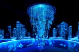 Arcadia Earth is the NYC Exhibit Everyone Should See | Essential Homme Magazine