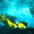 Fixed-route Autonomous Vehicle Market Planning Structure –  Research 2021-2027 | Research Informatic