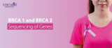 BRCA 1 and BRCA 2 Gene Mutations and Sequencing