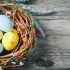Consumption of Egg Carton Market to Remain High During 2017 – 2027
