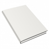 Demystifying the Publishing Process for Aspiring Authors