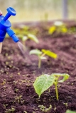 Calcium Nitrate Market 2019- Global Industry Details by Overview, Size, Top Manufacturers, Trends, Demand, Overview, Forecast to 2025
