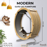 Cat Wheels: Energizing Feline Fun