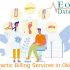 Benefits of Outsourcing Chiropractic Billing Services in Oregon (OR) – EON Datamatics | Free Billing Software to Revenue Cycle Management.