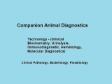 Companion Animal Diagnostics Market Impressive Growth Rate in Healthcare Industry