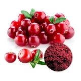 Global Cranberry Extract Market Research Report 2021
