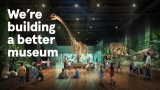 Culture & Museums – Fayway