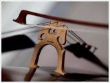 Sears Roebuck and the Violin