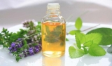 Edible Oil Market Growth Driven by Mounting Demand for Palm Oil