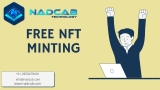 TOP NFT MINTING PLATFORM DEVELOPMENT