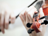Andrea Amati and the King Charles IX Instrument Collection