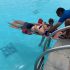 The Unexpected Truth Behind Lifeguard Courses