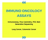 Immuno Oncology – Research Application Indicates Promising Future for Immuno Oncology Assays