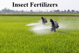 Insect Fertilizers Market to Expand at a CAGR of ~24.3% | ~USD 319.7 Million , 2029