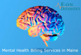Top Mental Health Billing Services and Solutions in Maine (ME) – EON Datamatics Free Billing Software to Revenue Cycle Management.