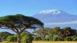 Discover the Cultural Significance of Kilimanjaro – Footprint Adventure