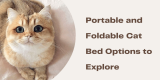Portable and Foldable Cat Bed Options to Explore