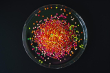 How to Store Protein A Magnetic Beads Without Losing Binding Activity?