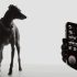Unlocking the World of Custom Design: Choosing the Right OEM Jewelry Manufacturer for Your Brand