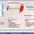 Performance-Based Markings Segment is Growing Faster Owing to Efficiency in Varied Working Conditions