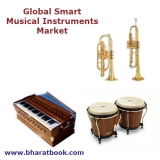 Global Smart Musical Instruments Market : Research Report and Forecast 2019