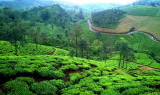 Vagamon: A Romantic Retreat in Kerala Honeymoon Packages from Delhi