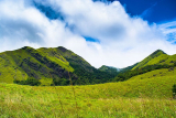 Exploring the Enigmatic Wayanad: A Highlight of Your Kerala Trip Package